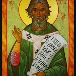 Platosa Sfantului Patrick