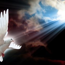 Rozariu Duhului Sfant